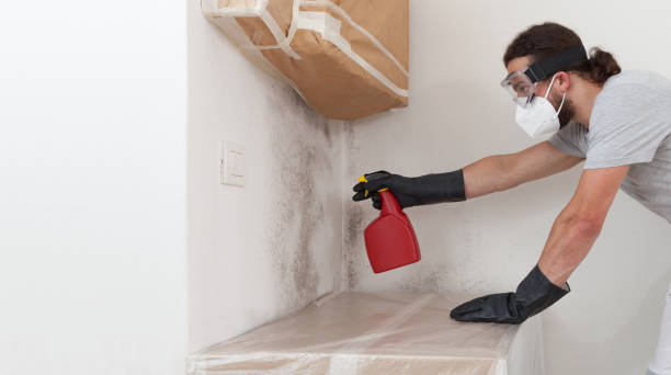 Professional Mold Cleanup technician working in East Islip, NY